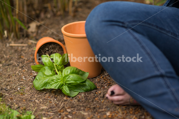 Diverse Gardening Stock Photo: Agender Person Meditates in Garden - Body Liberation Photos