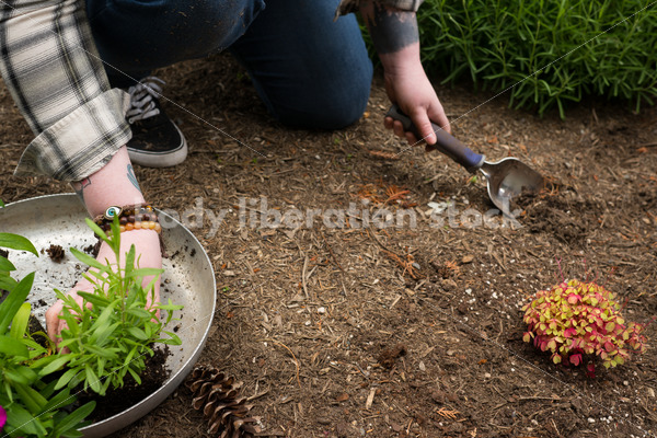 Diverse Gardening Stock Photo: Agender Person Plants Seedling - Body Liberation Photos