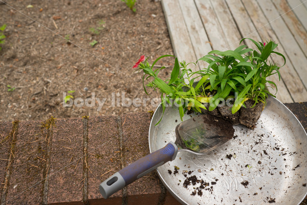 Diverse Gardening Stock Photo: Agender Person Plants Seedling - Body Liberation Photos