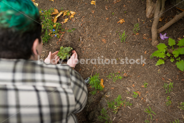 Diverse Gardening Stock Photo: Agender Person Plants Succulent - Body Liberation Photos