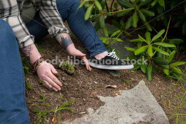 Diverse Gardening Stock Photo: Agender Person Plants Succulent - Body Liberation Photos