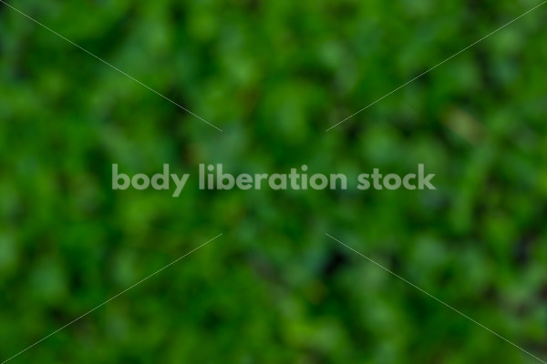 Stock Photo: Spring Garden with Room for Text - Body Liberation Photos